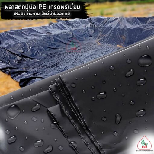 พลาสติกปูบ่อ PVC