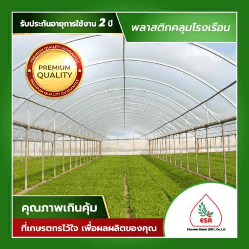 พลาสติกคลุมโรงเรือนใส UV 7% (แบ่งขาย)