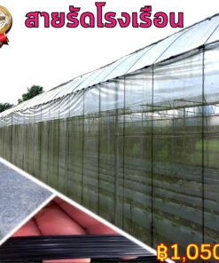 สายรัดโรงเรือน / สายรัด Greenhouse