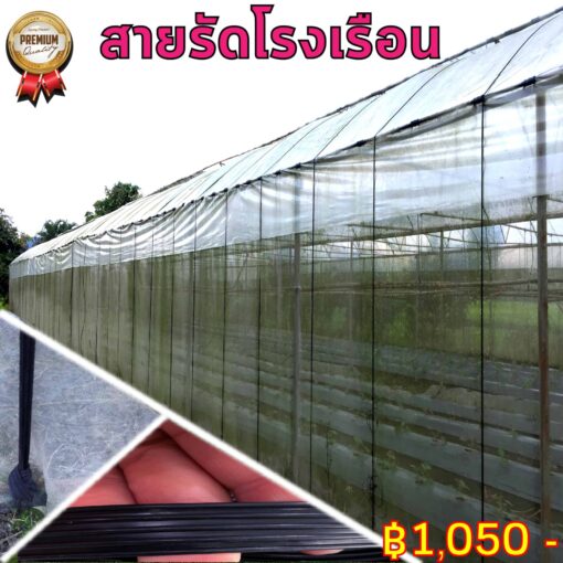 สายรัดโรงเรือน / สายรัด Greenhouse